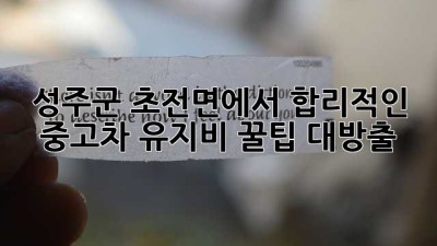 🚗 성주군 초전면에서 합리적인 중고차 유지비, 꿀팁 대방출! 🍯
